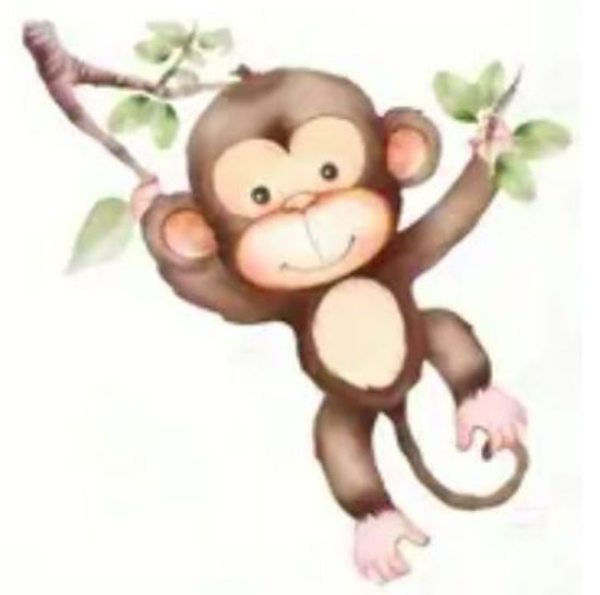 Picture of Affe