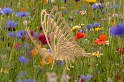 Picture of Schmetterling 3D-Puzzle