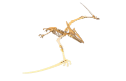 Picture of Flugsaurier 3D-Puzzle